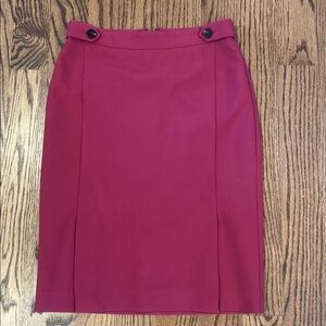 Ann Taylor Pink Pencil Skirt